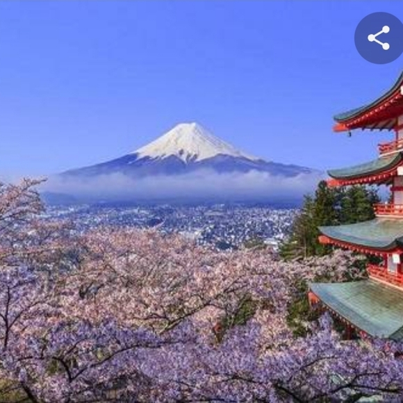 Meet your Posher, Ling - Picture 1 of 1